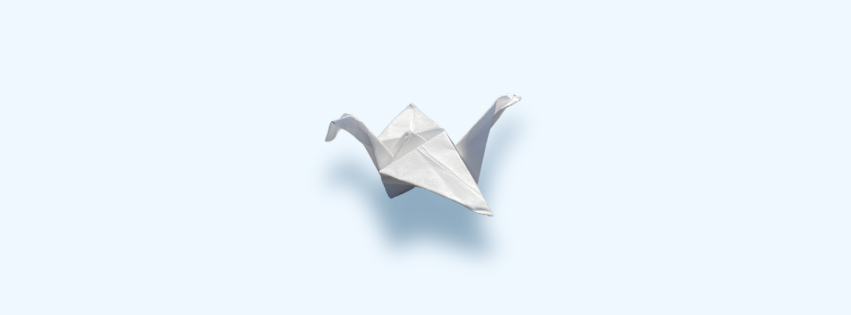 The origin of BIRDS.